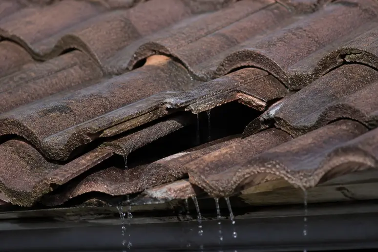 Tuiles de toiture endommagées montrant l'origine d'une fuite d'eau dans l'habitation