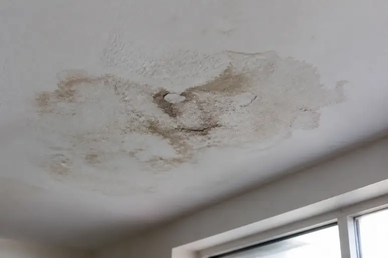 Plafond présentant une auréole d'humidité, témoignant d'une fuite toiture introuvable.