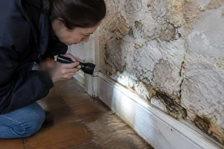 Inspection d'un mur en pierre humide dans une ancienne maison rénovée pour détecter les infiltrations.