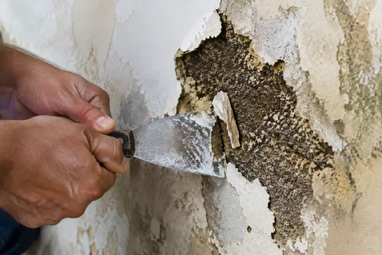 Mains grattant un enduit cloqué sur un mur humide avant de réaliser des travaux de rénovation