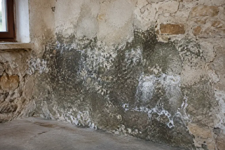 Mur en maçonnerie présentant des traces d'humidité et des marques de salpêtre avant le séchage