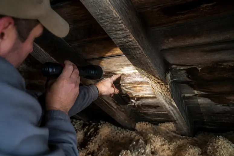 Inspection d'une charpente ancienne dans un grenier sombre pour repérer les dégâts de la rénovation toiture ancienne